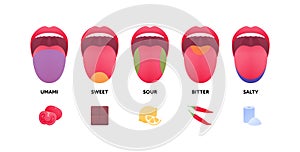 Taste scheme concept. Vector flat modern color illustration. Tongue with lips. Mouth tasty sense symbol. Umami tomato, sweet