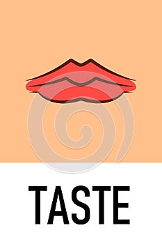 Taste sense icon