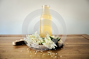 Taste of spring with a front view Elderflower cordial on wooden table surrounded by white Elderflowers. Seasonal elder flower