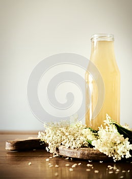 Taste of spring with a front view Elderflower cordial on wooden table surrounded by white Elderflowers. Seasonal elder flower