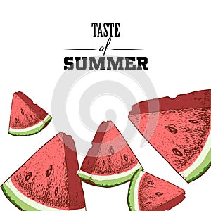 Taste of summer poster design template. Hand drawn colorful watermelon slices.