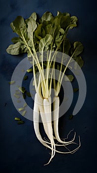 A tasteful presentation of long white radishes in indoor studio photo