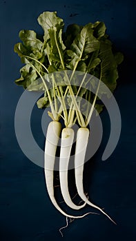 A tasteful presentation of long white radishes in indoor studio photo