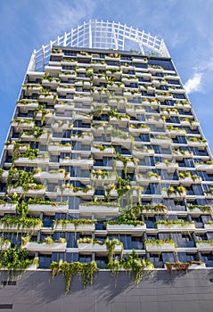 A tastefully contemporary green facade of a multi-storey building