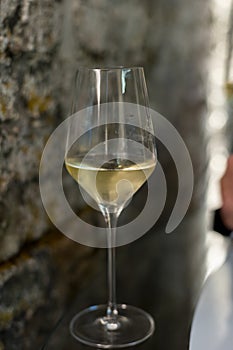 Tasting of brut champagne sparkling wine produced by traditional method in underground caves