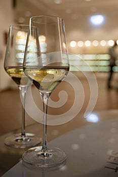 Tasting of brut champagne sparkling wine produced by traditional method in underground caves