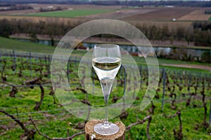 Tasting of brut champagne sparkling wine with view on hilly pinot noir gran cru vineyards of famous champagne houses near Ay and