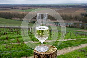 Tasting of brut champagne sparkling wine with view on hilly pinot noir gran cru vineyards of famous champagne houses near Ay and