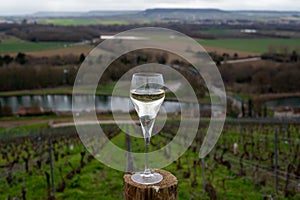 Tasting of brut champagne sparkling wine with view on hilly pinot noir gran cru vineyards of famous champagne houses near Ay and