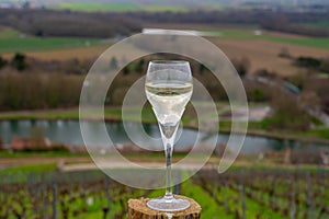 Tasting of brut champagne sparkling wine with view on hilly pinot noir gran cru vineyards of famous champagne houses near Ay and