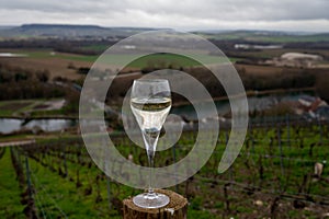 Tasting of brut champagne sparkling wine with view on hilly pinot noir gran cru vineyards of famous champagne houses near Ay and