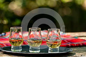 Tasting of different Scotch whiskies on outdoor terrace, dram of whiskey and red tartan