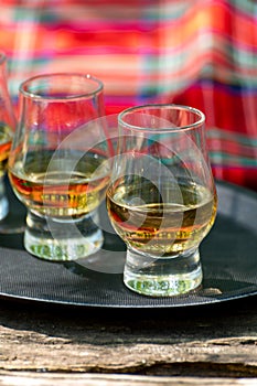 Tasting of different Scotch whiskies on outdoor terrace, dram of whiskey and red tartan