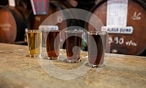 Tasting of different sweet wines from wooden barrels on old bodega in central part of Malaga, Andalusia, Spain