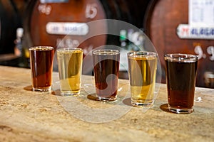 Tasting of different sweet wines from wooden barrels on old bodega in central part of Malaga, Andalusia, Spain