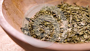 Tasting dried green leaves of japanese sencha tea