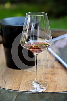 Tasting of dry burgundy red wine made from pinot noir  grapes, wine tourisme to Burgundy Cote de Nuits wine region, France