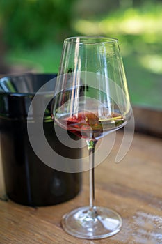 Tasting of dry burgundy red wine made from pinot noir  grapes, wine tourisme to Burgundy Cote de Nuits wine region, France