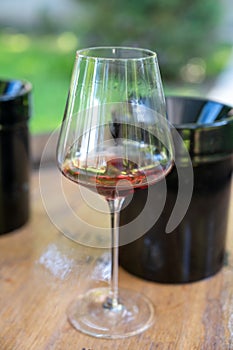 Tasting of dry burgundy red wine made from pinot noir  grapes, wine tourisme to Burgundy Cote de Nuits wine region, France