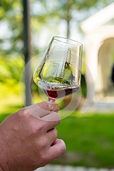 Tasting of dry burgundy red wine made from pinot noir  grapes, wine tourisme to Burgundy Cote de Nuits wine region, France