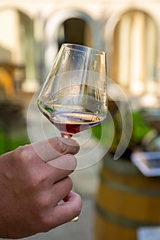 Tasting of dry burgundy red wine made from pinot noir  grapes, wine tourisme to Burgundy Cote de Nuits wine region, France