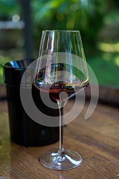 Tasting of dry burgundy red wine made from pinot noir  grapes, wine tourisme to Burgundy Cote de Nuits wine region, France