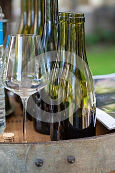 Tasting of dry burgundy white wine made from chardonnay grapes, wine tourisme to Burgundy Cote de Beaune wine region, France