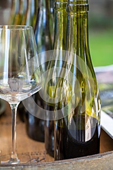 Tasting of dry burgundy white wine made from chardonnay grapes, wine tourisme to Burgundy Cote de Beaune wine region, France