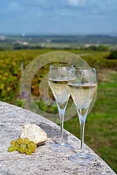 Tasting of grand cru sparkling white wine with bubbles champagne on chardonnay vineyards in Avize, grand cru wine producer small