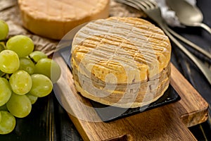 Tasting of oldest french AOC soft pudgent wrapped yellow cheese