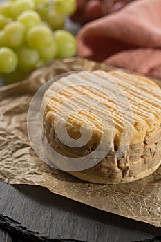 Tasting of oldest french AOC soft pudgent wrapped yellow cheese