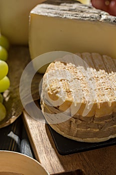 Tasting of oldest french AOC soft pudgent yellow cheese Livarot