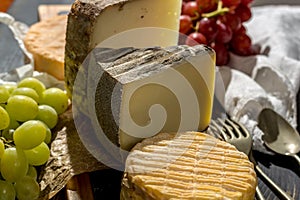 Tasting of oldest french AOC soft pudgent yellow cheese Livarot,