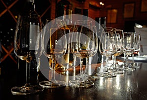 Tasting of Port wine, Portugal photo