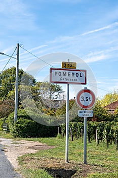 Tasting red Bordeaux wine, Merlot or Cabernet Sauvignon red wine grapes on cru class vineyards in Pomerol, Saint-Emilion wine