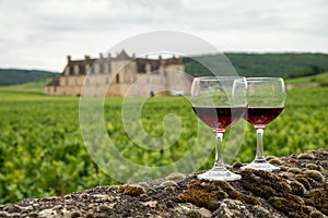 Tasting of red dry pinot noir wine in glass on premier and grand cru vineyards in Burgundy wine making region with chateau on photo