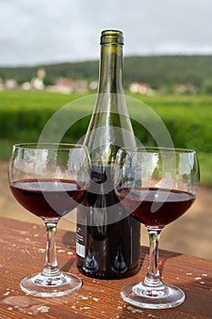 Tasting of red dry pinot noir wine in glass on premier and grand cru vineyards in Burgundy wine making region near Vosne-RomanÃ©e