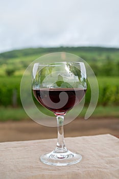 Tasting of red dry pinot noir wine in glass on premier and grand cru vineyards in Burgundy wine making region near Vosne-RomanÃ©e