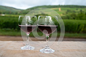 Tasting of red dry pinot noir wine in glass on premier and grand cru vineyards in Burgundy wine making region near Vosne-RomanÃ©e