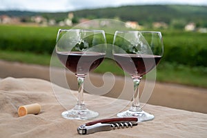 Tasting of red dry pinot noir wine in glass on premier and grand cru vineyards in Burgundy wine making region near Vosne-RomanÃ©e