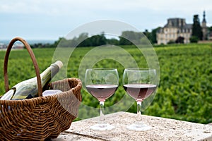 Tasting of red dry pinot noir wine in glass on premier and grand cru vineyards in Burgundy wine making region near Vosne-RomanÃ©e