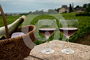 Tasting of red dry pinot noir wine in glass on premier and grand cru vineyards in Burgundy wine making region near Vosne-RomanÃ©e