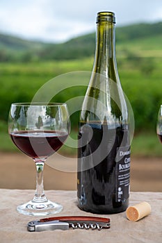 Tasting of red dry pinot noir wine in glass on premier and grand cru vineyards in Burgundy wine making region near Vosne-RomanÃ©e