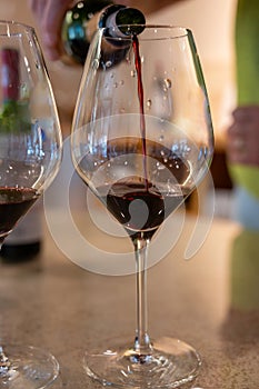 Tasting of red dry Saint-Emilion wine aged in French oak wooden barrels in cellar, Saint-Emilion great wines making region, France