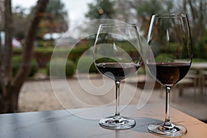 Tasting of different rioja wines, visit of winery cellars, Rioja wine making region, Spain photo