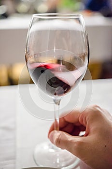 Tasting red wine photo