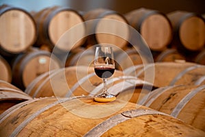 Tasting of rioja wines, visit of winery cellars with french or american oak barrels with agening red wine, Rioja wine making photo