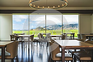 The tasting room at the winery, a gorgeous modern space with windows looking out across the vineyards. Vineyards in California