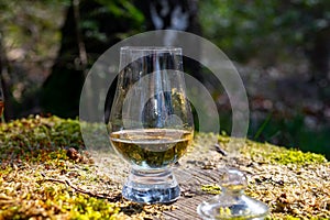 Tasting of scotch single malt whisky from Islay island, most intensely flavoured of all whiskies in Scotland