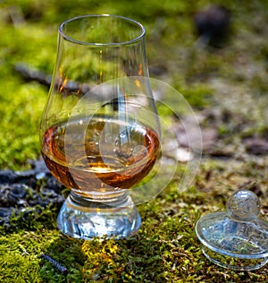 Tasting of scotch single malt whisky from Islay island, most intensely flavoured of all whiskies in Scotland